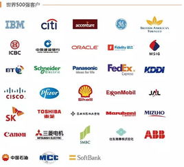 中國物業百強大連豪之英物業攜手極致科技，開啟日式服務新篇章